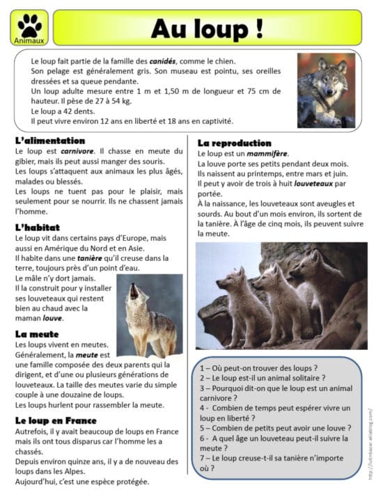 découvrez l'univers fascinant des loups à travers ce documentaire captivant qui explore leur comportement, leur habitat et leur rôle essentiel dans l'écosystème. plongez au cœur de la nature et apprenez-en davantage sur ces créatures majestueuses et leur importance pour la biodiversité.