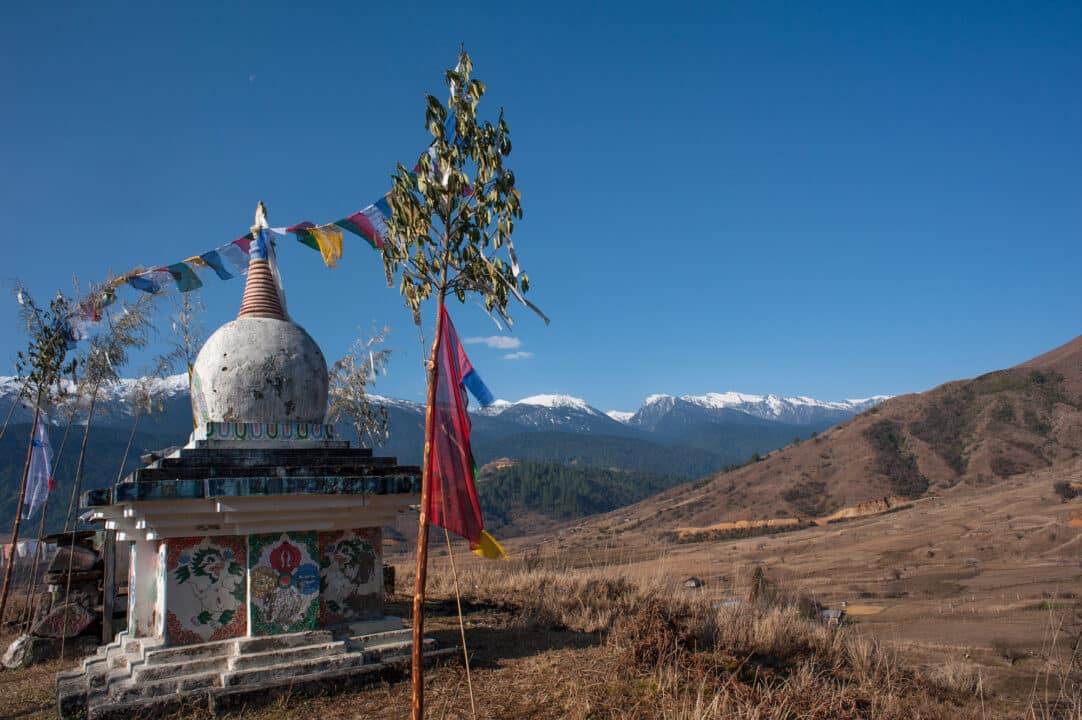 explorez les trésors du documentaire himalaya, une plongée fascinante dans les paysages majestueux, la culture riche et les traditions uniques de cette région emblématique. découvrez des histoires inspirantes et des perspectives inoubliables.