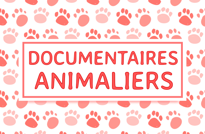 découvrez notre analyse documentaire exhaustive couvrant 7 ans de données et d'informations clés. plongez dans des insights enrichissants et des tendances approfondies pour mieux comprendre l'évolution des thématiques pertinentes.